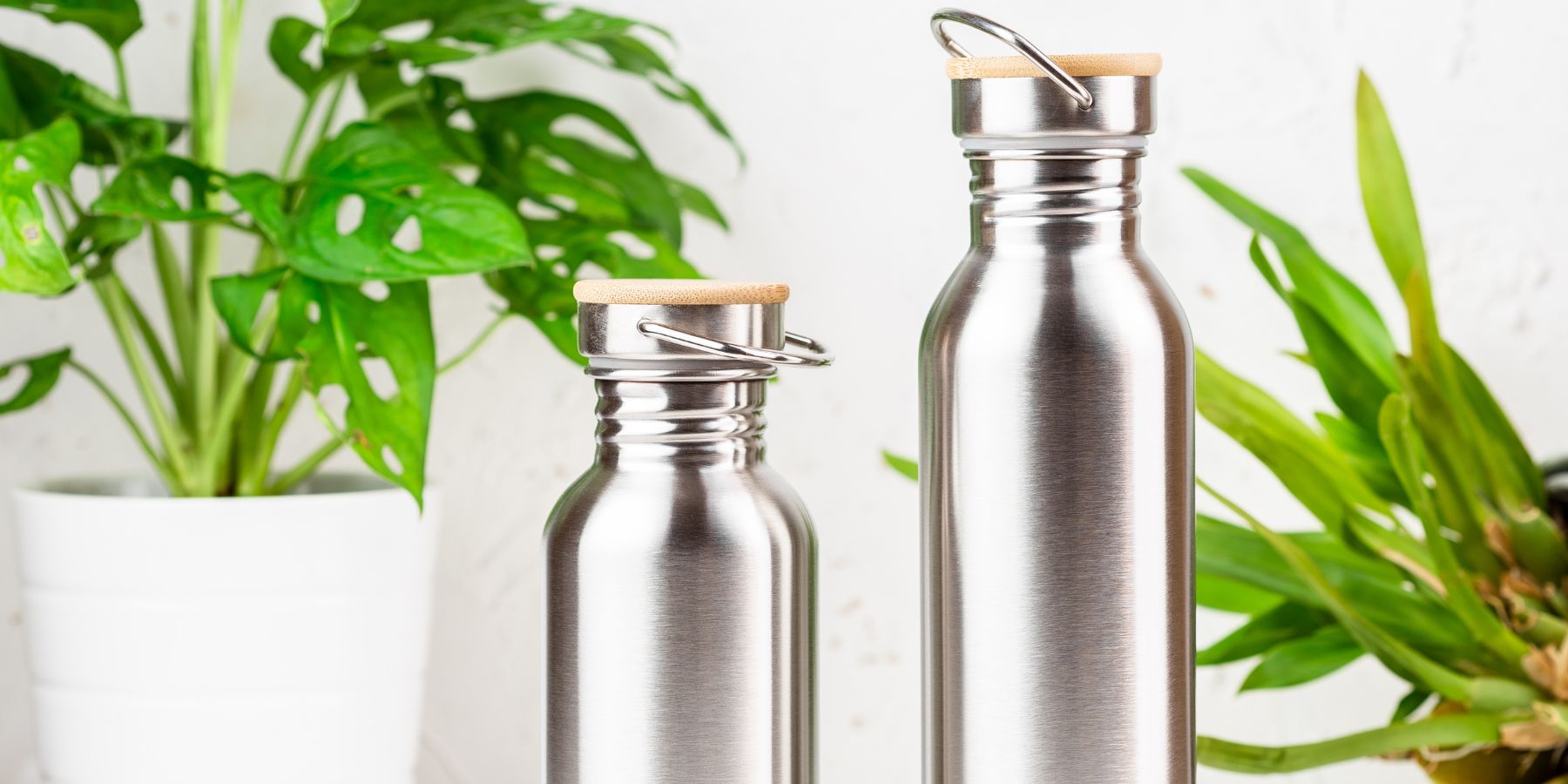 Is 18/8 Stainless Steel Safe for Water Bottles? Unveiling the Facts